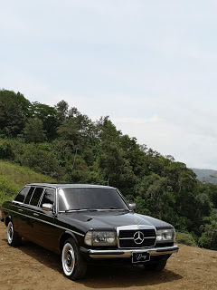 CARTAGO-MOUNTAIN-FOREST.-COSTA-RICA-300D-W123-LIMOUSINE0dc2d5ed2e31acf5.jpg