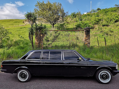 COSTA-RICA-MOUNTAIN-TOURS.-MERCEDES-W123-LIMOc447f9637d85a2ce.jpg