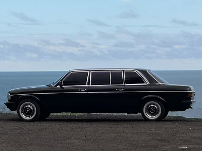 COSTA-RICA-OCEAN-VIEW.-MERCEDES-300D-LIMO4111cdc38a6454d0.jpg