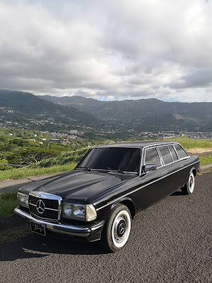 ESCAZU-MANSION-MOUNTAINS.-MERCEDES-W123-LIMO09e1c170ed6762ce.jpg