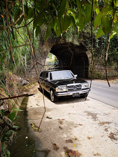 El-tunel-en-la-carretera-a-Turrialba-COSTA-RICA.-300D-LIMOUSINE-W123356a553efb79c014.jpg