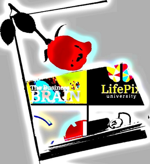 The business brain podcast by ST Rappaport of LifePix University business guest Richard Blank