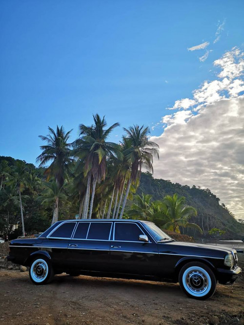 JACO-BEACH-PALM-TREE-LIMOUSINE-CENTRAL-AMERICAe682c945df9a31ec.jpg