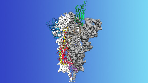 BOC Sciences provides services related to process scale-up and technology transfer from laboratory to industrial scale. We have cooperation projects with many well-known international companies and have rich experience in synthesis and amplification.	Pilot Scale Up of Drug Development	https://cdmo.bocsci.com/ability/process-scale-up.html