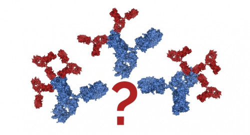 Creative Biolabs provides high quality products and services to the global biology researcher at inception as their lofty mission. After more than ten years of innovation and development, we have grown into a prestigious CRO in the industry. In addition to providing researchers with various products such as recombinant proteins, antibodies, and test kits, we have also accumulated a lot of experience in drug discovery and vaccine development. Especially in the field of antiviral drugs and vaccines, our drug discovery, vaccine design, preclinical evaluation of drugs and vaccines, and in vitro diagnostic services are at the world-leading level.	Recombinant CAAP1 Protein aa 1-361 His Human origin	https://sars-cov-2.creative-biolabs.com/recombinant-caap1-protein-aa-1-361-his-human-origin-1505.htm