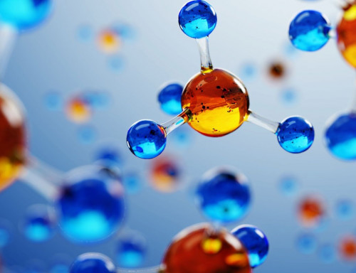 Creative Bioarray uses the morphological changes of nuclear chromatin as an indicator to determine the stages of apoptosis. The identification of classic apoptosis indicators is usually based on morphology.	apoptosis morphology assay	http://cellassay.creative-bioarray.com/apoptosis-morphology-detection.htm