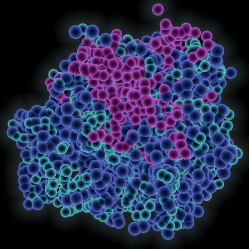 Fluorescent enzyme substrates are substances that produce fluorescence after the action of specific enzymes. They have no fluorescence effect and can be used to detect enzyme activities in living cell systems and solutions. The fluorescent enzyme substrates we provide are quite stable, can be stored for a long time, and can react with various enzymes.	Enzyme Substrates manufacturers	https://probes.bocsci.com/application/fluorescent-enzyme-substrates.hml