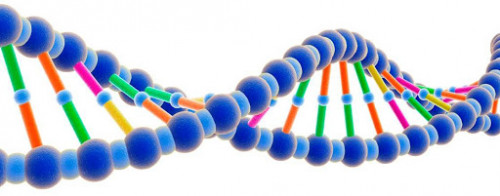 Creative Biolabs is committed to providing universities, research institutions, biotechnology companies and pharmaceutical companies with a wide range of high quality and reliable products and comprehensive service packages of GPCRs to enable advancement of basic science and drug development.	PPHT hydrochloride	https://www.progpcr.com/p/120/ppht-hydrochloride/