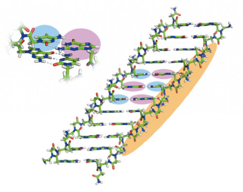 Starting from a small supplier of proteins and enzymes for academic institutes and biotech companies, Creative BioMart has always been focusing on developing high quality protein products and efficient protein manufacturing techniques. Over the past decade, our products and services are proved to have served our customers well and our brand has become one of the most trustworthy in the market.	pah kit	https://www.creativebiomart.net/symbolsearch_pah kit.htm