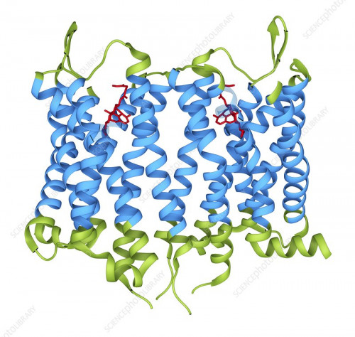 Creative Diagnostics provides tailored solutions to a variety of industries such as biopharma, clinical laboratories and academic research centers. Our capabilities include biologic drug monitoring and custom assay development.	Varicella-Zoster Immune Globulin Assay Kits	https://reagents.creative-diagnostics.com/products/varicella-zoster-immune-globulin.html