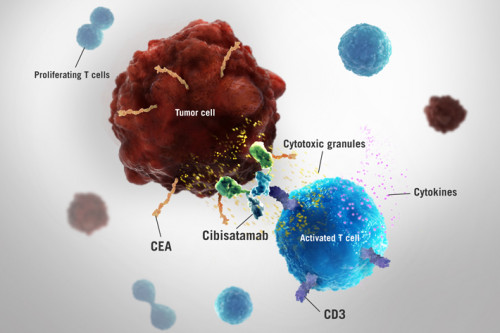 Creative Biomart provides comprehensive molecular biology services for kinase/phosphatase biology research and pharmaceutical development. Our expertise coupled with state-of-the-art techniques enables us to offer you one-stop services and customized solutions to accelerate your project success.	Molecular Biology Services for Kinase/Phosphatase Biology	https://www.kinasebiotech.com/molecular-biology-services-for-kinase-phosphatase-biology.html