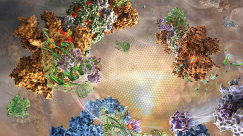 A number of computational methods have been used in various aspects of drug discovery and development. In recent decades, in silico ADMET (absorption, distribution, metabolism, excretion, and toxicity) modeling as a rational drug design tool has received extensive attention from pharmaceutical scientists and many ADMET-related prediction models have been developed. The low-cost and high-throughput characteristics of these models allow for a more simplified drug development process in which the drug accessibility of compounds can be predicted, and the identification of hits and structural optimization can be guided. Creative Biostructure is a trusted partner in the development of antiviral drugs for coronavirus infection, and we can support ADMET modeling and profiling.	SARS-CoV-2 ADMET Modeling	https://www.creative-biostructure.com/coronavirus/admet-modeling-and-profiling-p32.htm