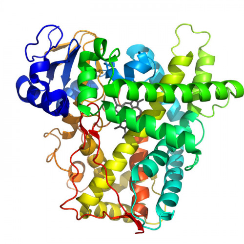 BOC Sciences is a life sciences group with its headquarters in the NY. BOC Sciences provides the most complete antibody-drug conjugate (ADC) development service solutions for the pharmaceutical industry. Working with companies and academic groups all over the world, including most of the top biopharmaceutical companies, BOC Sciences supports the development and manufacture of antibody drug conjugates.	MC-Val-Cit-PAB-MMAE	https://adc.bocsci.com/product/mc-val-cit-pab-mmae-646502-53-6-85293.html