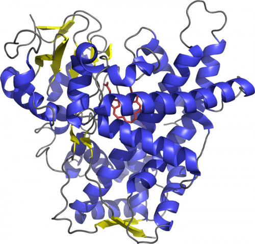 BOC Sciences is a life sciences group with its headquarters in the NY. BOC Sciences provides the most complete antibody-drug conjugate (ADC) development service solutions for the pharmaceutical industry. Working with companies and academic groups all over the world, including most of the top biopharmaceutical companies, BOC Sciences supports the development and manufacture of antibody drug conjugates.	Pinocembrin	https://adc.bocsci.com/product/pinocembrin-480-39-7-464635.html